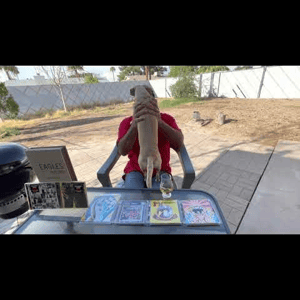 Thumbnail of the video review https://www.youtube.com/watch?v=eGRnXk3FMnA