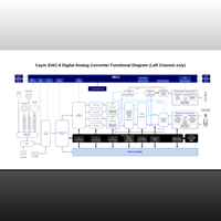 Cayin iDAC-8 variant 7