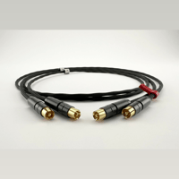 Ikigai Audio Tanoshimi variant 1