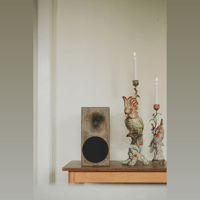 Buchardt Audio E50 variant 15