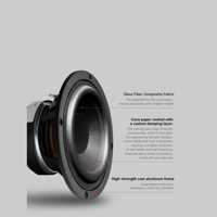 Cayin T30 MK2 variant 2