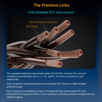 Cayin C9ii Titanium Color Edition variant 30