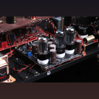 SW1x DAC X variant 6