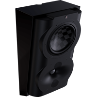 Perlisten S4s variant 2