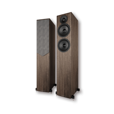 Acoustic Energy AE309