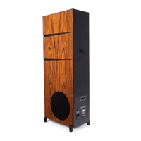 Audience Bellare variant 6