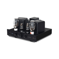 Cary Audio CAD-300SEI Integrated Amplifier variant 6