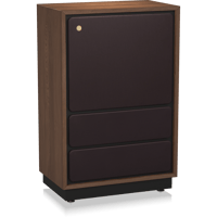 Tannoy ARDEN variant 3