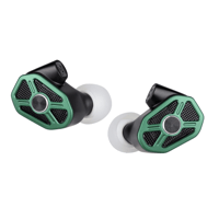 RAPTGO Raptgo Bridge 2BA+2DD+PZT Tribrid In-Ear Monitor IEM Earphone variant 9