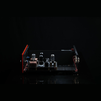 SW1x PRE II Line Pre-Amplifier variant 6