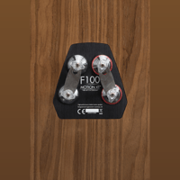 MartinLogan Motion XT F100 variant 43