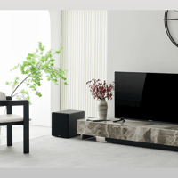 Elipson PRESTIGE FACET SUB 10.1 variant 5