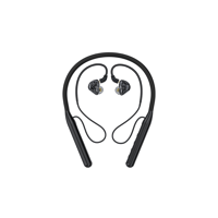 FiiO LC-BT2 variant 2