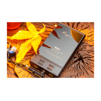 Cayin N6iii T201 variant 31