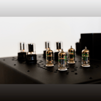 La Rosita LOUIS variant 5