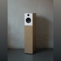 Guru Audio Guru 28 variant 1