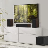 Onkyo RP-1200SW variant 7