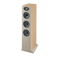Focal Theva N°2 variant 7