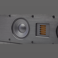 MartinLogan Motion SLM X3 variant 4