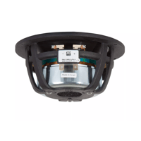 Morel Hifi CAW 538 variant 3