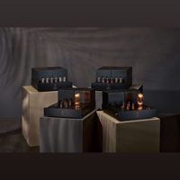 Lamm Industries ML3 Signature Amplifier variant 6