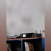 Arylic A100 100W x 2 Power amplifier with FM variant 10