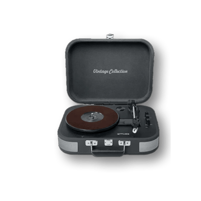 MUSE HiFi MT-201 DG