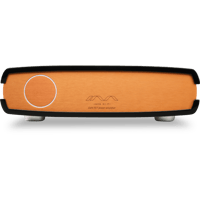 Java Hi-Fi Double Shot GaN FET Stereo Power Amplifier variant 1