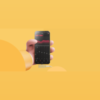 FiiO TINY variant 11