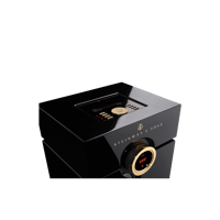 Steinway Lyngdorf Head unit processor variant 2