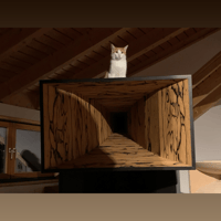 Blumenhofer Acoustics DV-3 variant 11