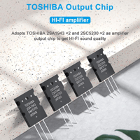 Fosi Audio Fosi Audio HD-A1 Hi-Fi Home Class AB Power Amplifier variant 9