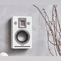 Audiovector QR 7 SE variant 7