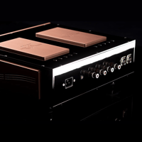 Merrill Audio Element 114 Stereo Power Amplifier variant 8