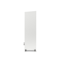 MartinLogan Motion F20 variant 19