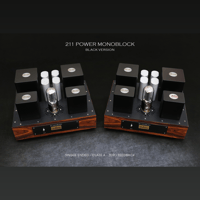 ThivanLabs 211 POWER MONOBLOCK variant 8