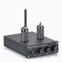 Fosi Audio Fosi Audio T20 Bluetooth Tube Amplifier variant 1