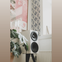 Buchardt Audio P300 variant 13