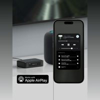 Arylic LP10 AirPlay 2 and Google Cast Music Streamer variant 6