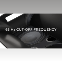 Avantgarde Acoustic COLIBRI variant 10