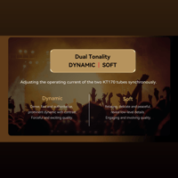 Cayin Soul 170HA variant 18