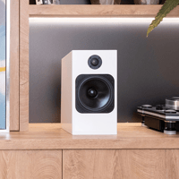 Totem Acoustic Element Fire V2 variant 2