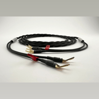 Ikigai Audio Tanoshimi variant 7