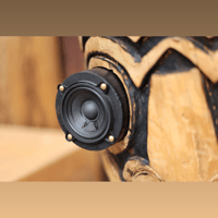 TIKI TUBE AMPS Phil and Lily variant 2