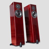 Totem Acoustic Forest Signature variant 1