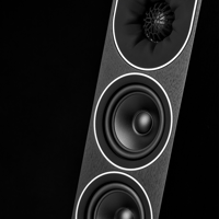 PMC prophecy9 variant 3