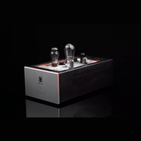 SW1x MPA III “Oracle” Mono Power Amplifier variant 2