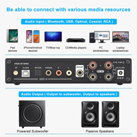 Fosi Audio Fosi Audio DA2120C 2.1 Ch Integrated Amplifier variant 6