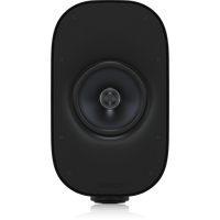 Tannoy QCI A1-BL variant 2