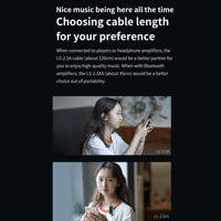 FiiO LS-2.5A/LS-2.5AS variant 8